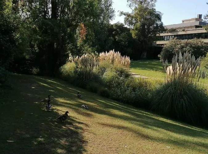 شقة In Centre Of Near Gulbenkien Garden