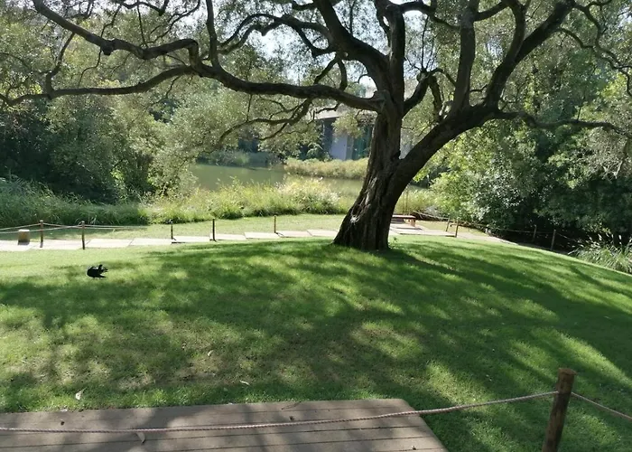 דירה In Centre Of Near Gulbenkien Garden