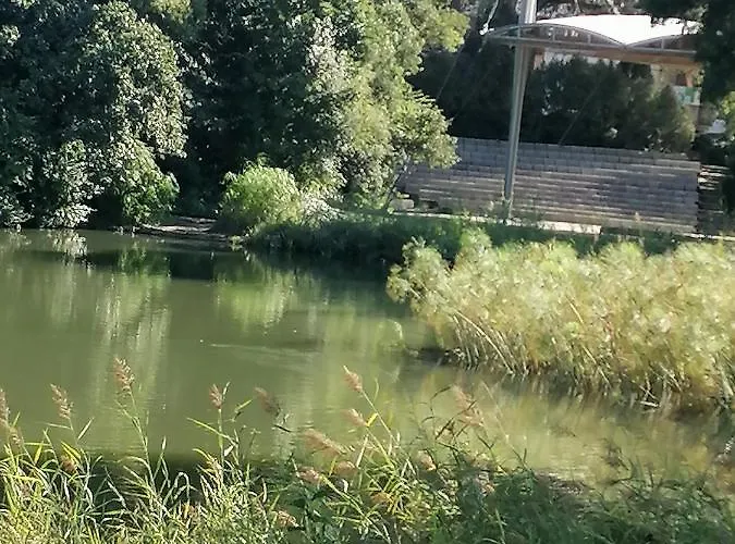 דירה In Centre Of Near Gulbenkien Garden *