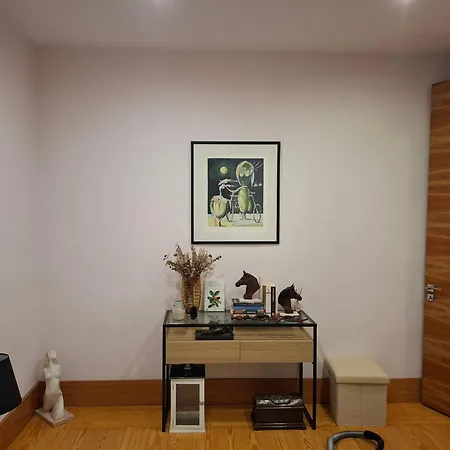Apartament In Centre Of Near Gulbenkien Garden